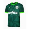 Camisolas Palmeiras 2023-24 1º Equipamento Principal Manga Curta